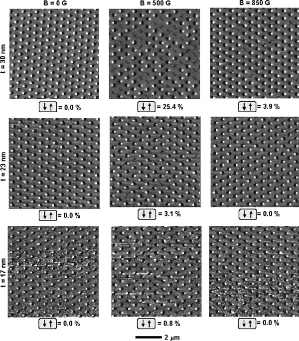 Sequence of MFM images of 803140 cobalt nanostructures on a widely spaced (s5600 nm) triangular array